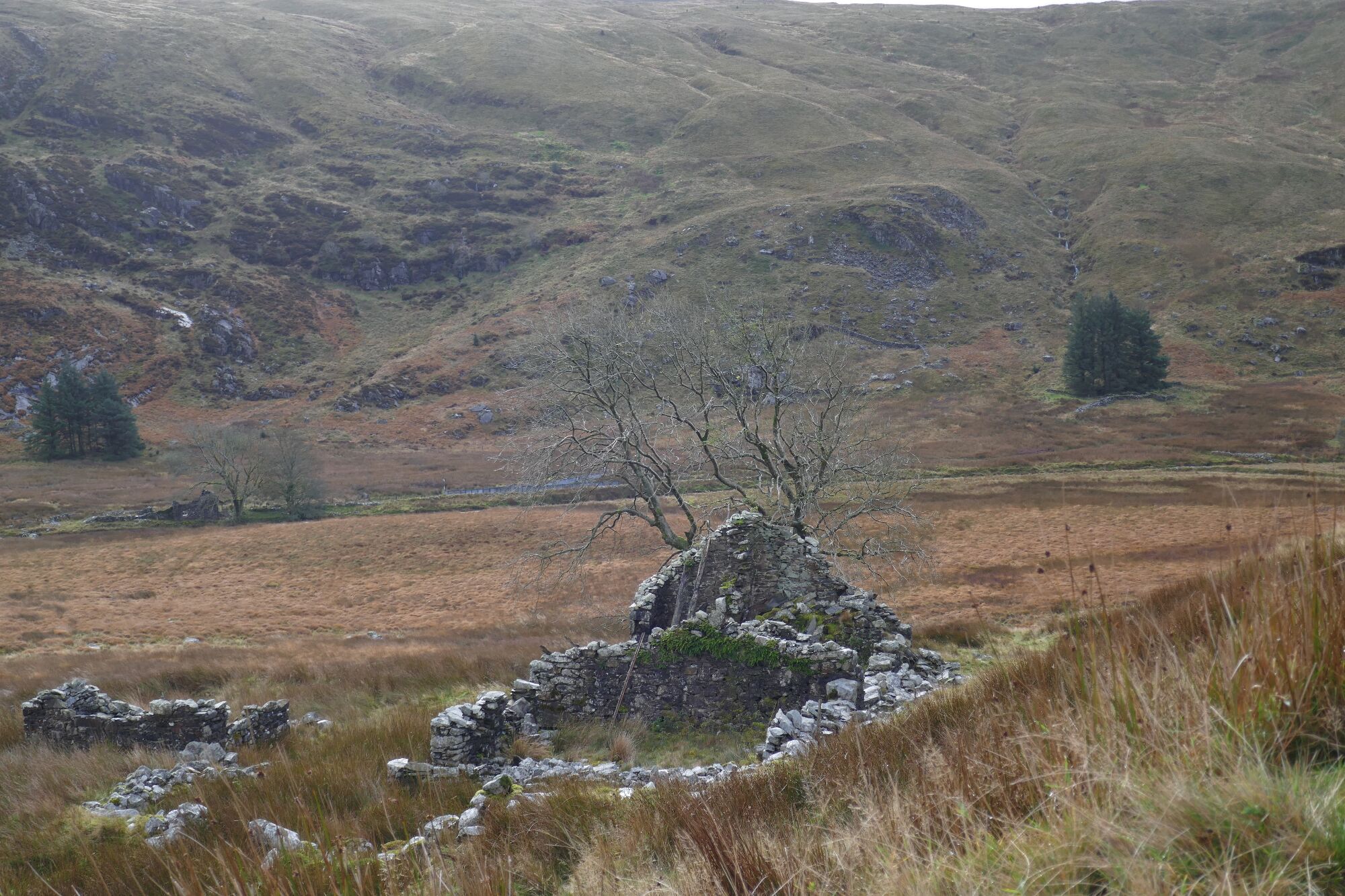 RachelSeabrook.net | Wild Walking | Cwm Hengwm | pic12